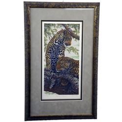 DENNIS CURRY Print "Natures Patterns"