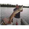Image 2 : Fishing for 2 on God’s Lake in Manitoba