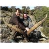 Image 1 : 3-Day Beceite Ibex hunt for 2 hunters in Spain