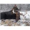 Image 2 : 7 Day Alberta Rifle Moose Hunt