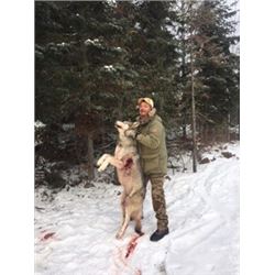 7-Day Wolf Hunt and Ice Fishing for 2