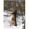 Image 2 : 7-Day Wolf Hunt and Ice Fishing for 2