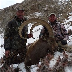 Mid-Asian Ibex Hunt