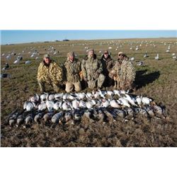 3 Day Snow Goose hunt for 5 in Arkansas