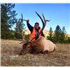 Image 1 : 5 Day Elk Hunt in Colorado