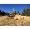 Image 2 : 5 Day Elk Hunt in Colorado