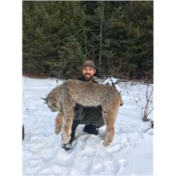 7 Day Lynx hunt in BC