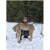 Image 1 : 7 Day Lynx hunt in BC
