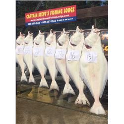 4 days of fishing for 2 In Alaska