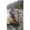 Image 2 : 6-Day Elk - Deer combo archery hunt in Alberta