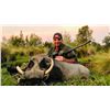 Image 2 : KUDU, WARTHOG, AND IMPALA Hunt in SOUTH AFRICA FOR TWO HUNTERS