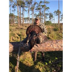 Osceola Turkey Hunt for 2 Hunters in Florida