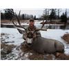 Image 1 : 6 Day Mule Deer/ Whitetail Combo for one hunter in Central Alberta