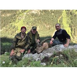 Mid-Caucasian Tur Hunt in Russia for 1 hunter
