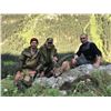 Image 1 : Mid-Caucasian Tur Hunt in Russia for 1 hunter
