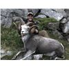 Image 1 : 12-Day Stone Sheep Hunt in the Yukon