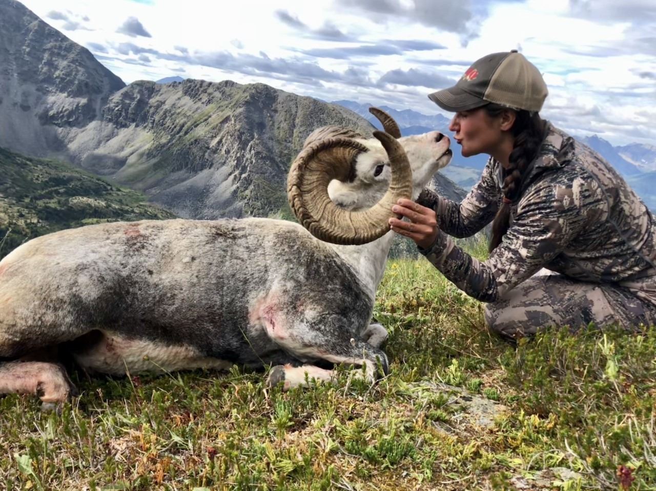 12Day Stone Sheep Hunt in the Yukon