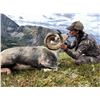 Image 2 : 12-Day Stone Sheep Hunt in the Yukon