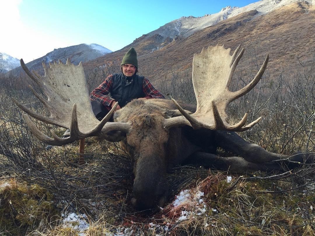10 Day Alaska Moose Hunt