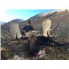 Image 1 : 10 Day Alaska Moose Hunt