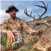 Image 2 : Coues Deer Hunt for 2 hunters in Arizona also includes Mt. Lion!