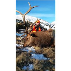 5 Day Rifle Guided Elk hunt in Colorado for one hunter