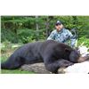 Image 1 : 5 Day Black Bear Hunt for 3 hunters in Ontario