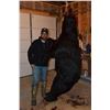 Image 2 : 5 Day Black Bear Hunt for 3 hunters in Ontario