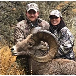 NORTH DAKOTA GOVERNOR’S ROCKY MOUNTAIN BIGHORN SHEEP LICENSE