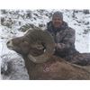 Image 2 : NORTH DAKOTA GOVERNOR’S ROCKY MOUNTAIN BIGHORN SHEEP LICENSE