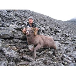 Russian Snow Sheep hunt in Kamchatka or Chukotka