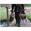 Image 9 : Scotland Combo Deer Stalking and Driven Bird Shoot for 1 Hunter & 1 Observer