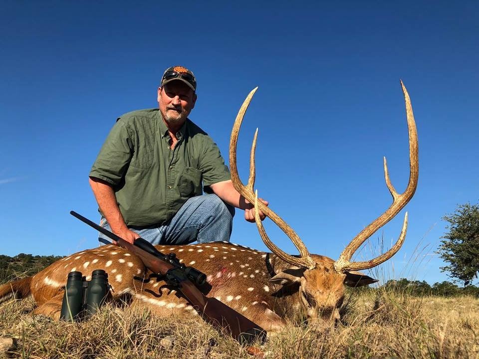 Texas Trophy Axis Deer Hunt for 1 Hunter