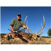 Image 1 : Texas Trophy Axis Deer Hunt for 1 Hunter