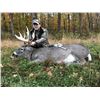 Image 1 : Wisconsin Trophy Whitetail Deer Hunt for 1 Hunter & 1 Observer