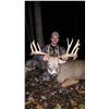 Image 3 : Wisconsin Trophy Whitetail Deer Hunt for 1 Hunter & 1 Observer