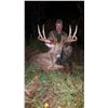 Image 4 : Wisconsin Trophy Whitetail Deer Hunt for 1 Hunter & 1 Observer