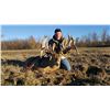 Image 5 : Wisconsin Trophy Whitetail Deer Hunt for 1 Hunter & 1 Observer