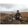 Image 3 : South Africa Nyala and Dwarf Antelope Safari