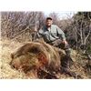 Image 2 : Alaska Interior Grizzly Bear Hunt for 1 Hunter & 1 Observer