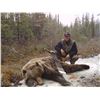 Image 4 : Alaska Interior Grizzly Bear Hunt for 1 Hunter & 1 Observer