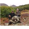 Image 5 : Alaska Interior Grizzly Bear Hunt for 1 Hunter & 1 Observer