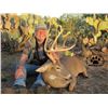 Image 1 : South Texas Trophy Whitetail Deer Hunt