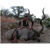 Image 1 : South Africa Trophy Kudu, Wingshooting and Plains Game Cull Hunt for 2