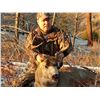 Image 4 : Idaho Wilderness Horseback Horseback Mule Deer Hunt for 1 Hunter