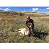 Image 3 : Wyoming Pronghorn Antelope Hunt for 2 Hunters