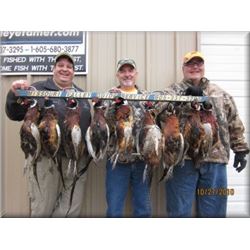 South Dakota Pheasant Hunt for 4