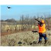 Image 3 : South Dakota Pheasant Hunt for 4