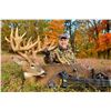 Image 3 : World Class Iowa Whitetails at Timberghost