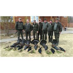 4-day Capercaillie hunt in Russia for 1
